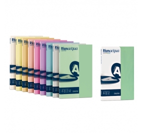 RISMACQUA FAVINI A4 GR.90 5 COLORI ASS. CF.100 Colore ++mix5