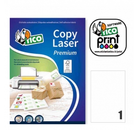 ETICHETTA TICO PRINT MM.210X297 LP4W210297 CF.100