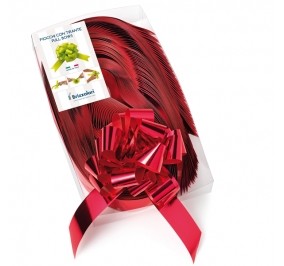 NASTRO SVELTO STRIP REFLEX MM.30 DIAM.120 ROSSO Colore Rosso