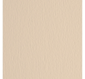 CART.FABRIANO COLORE LR 50X70 GR220 PANNA Colore Panna 01