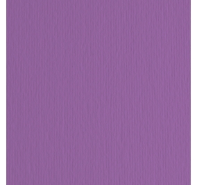 CART.FABRIANO COLORE LR 50X70 GR200 VIOLA Colore Viola 04