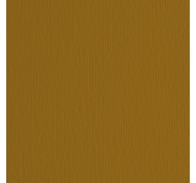CART.FABRIANO COLORE LR 50X70 GR200 MARRONE Colore Marrone 06
