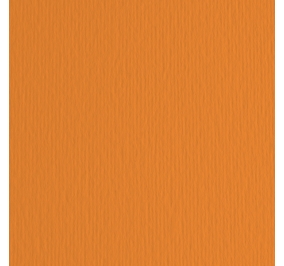 CART.FABRIANO COLORE LR 50X70 GR200 ARANCIO Colore Arancio 08