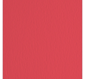 CART.FABRIANO COLORE LR 50X70 GR200 ROSSO Colore Rosso 09