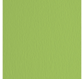 CART.FABRIANO COLORE LR 50X70 GR200 VERDE PISELLO Colore Verde pisello 10