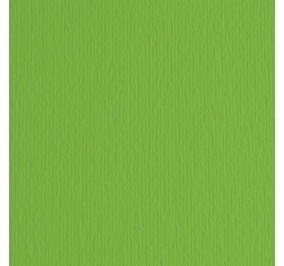 CART.FABRIANO COLORE LR 50X70 GR200 VERDE Colore Verde 11