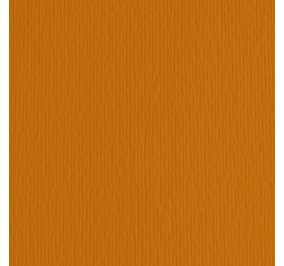 CART.FABRIANO COLORE LR 50X70 GR220 TERRA BRUCIATA Colore Terra bruciata 19