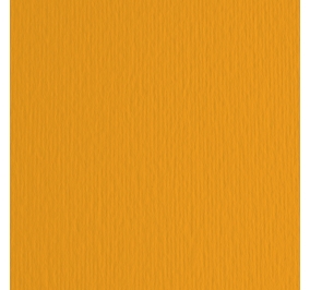 CART.FABRIANO COLORE LR 70X100 GR220 ARAGOSTA Colore Aragosta 126