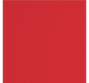 CART.FABRIANO COLORE LR 70X100 GR220 CILIEGIA Colore Ciliegia 127