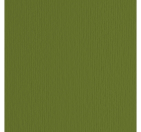 CART.FABRIANO COLORE LR 70X100 GR220 VERDONE Colore Verdone 28