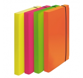 CARTELLA PROGETTO IN POLIPROPIENE 24X35 SHOCKING FILE DORSO 3 ELASTICO CF.4 FLUO Colore 4 Colori assortiti