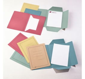 CARTELLA MANILLA 3 LEMBI 25X33 CON STAMPA VERDE Colore Verde
