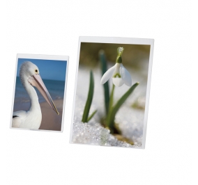 SUPPORTO IN PVC SEMIRIGIDO FOTO A4 DA TAVOLO E APPOGGIO