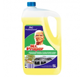 MATRO LINDO PROFESSIONAL LIMONE LT.5