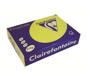 RISMA CLAIREFONTAINETROPHE A4 GR.210 FF250  GIALLO SOLE Colore Giallo Sole