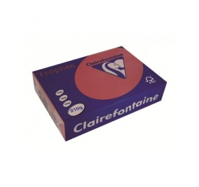 RISMA CLAIREFONTAINETROPHE A4 GR.210 FF250  ROSSO RIBES Colore Rosso