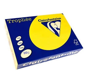 RISMA CLAIREFONTAINE TROPHE A4 GR.80 FF500 GIALLO SOLE Colore Giallo Sole