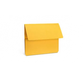 CARTELLA BRISTOL CANGURO1 SENZA STAMPA GIALLO Colore Giallo