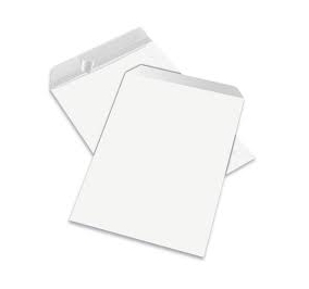 BUSTA BLASETTI SACCO KRAFT BIANCO25X35,5 STRIP G100 CF.500