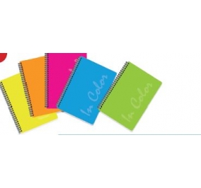 BLOCCO SPIRALATO  FLUO F.TO 29,7X24 RIG.5 MM FF120 5 DIVISORI Colore 5 assortiti