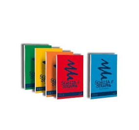 BLOCCO FAVINI SCHIZZA E STRAPPA A6 GR.50 MM105X148 FF150