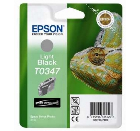 Epson Cartuccia inkjet ink pigmentato blister RS+RF Stylus Photo T0347 nero chiaro C13T03474020