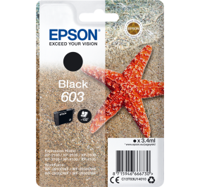 Epson Cartuccia inkjet Stella marina 603 nero C13T03U14010