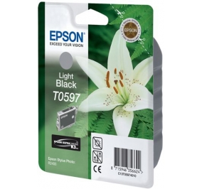Epson Cartuccia inkjet ink pigmentato blister A-M Ultrachrome K9 nero chiaro C13T05974030