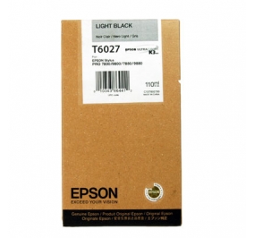 Epson Cartuccia inkjet ink pigmentato Ultrachrome K3 T6027 nero chiaro C13T602700
