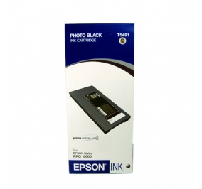 Epson Cartuccia inkjet ink pigmentato Ultrachrome T5491 nero fotografico C13T549100