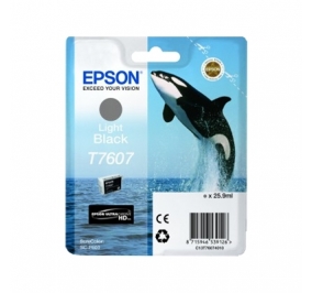 Epson Cartuccia inkjet T7607 nero chiaro C13T76074010