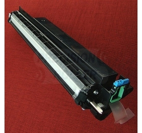 Ricoh Developer ciano B1163012