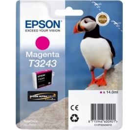 Epson Cartuccia inkjet T3243 magenta C13T32434010