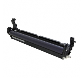 Ricoh Tamburo colore D2442209