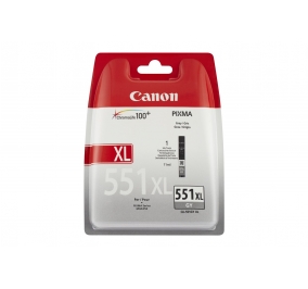 Canon Serbatoio inchiostro alta capacit blister Chromalife 100+ CLI-551XL GY grigio 6447B004