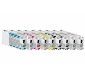 Epson Cartuccia inkjet Ultrachrome Pro T8009 grigio C13T800900