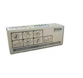 Epson Cartuccia inkjet Ultrachrome Pro T8007 grigio scuro C13T800700