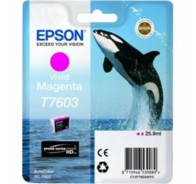 Epson Cartuccia inkjet T7603 magenta vivido C13T76034010