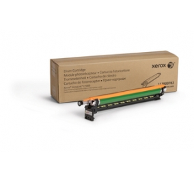 Xerox Tamburo 113R00782