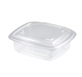 VASCHETTE PP 250 ML CON COPERCHIO DOPLA