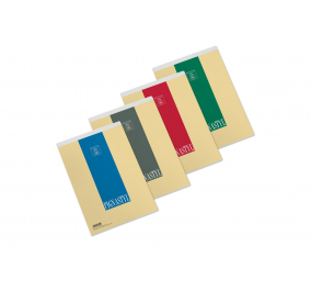 BLOCCO NOTE PUNTO METALLICO PIGNASTYL-  Formato-  cm 21x29,7-  Rigature-  quadretti mm 5