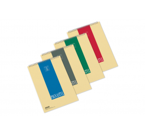 BLOCCO NOTE SPIRALATO PIGNASTYL-  Formato-  cm 21x29,7-  Rigature-  quadretti mm 5