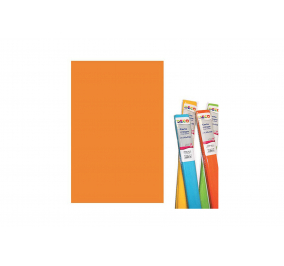Carta Crespa Speciale Scuola-  Argento