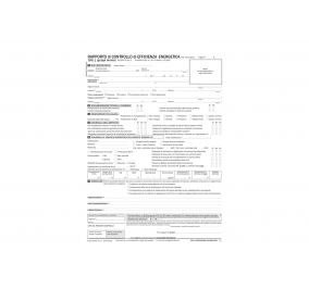 Rapporto di controllo di efficienza energetica, Tipo 1 (gruppi termici) Allegato II (art. 2) -  Formato-  cm 31x21
