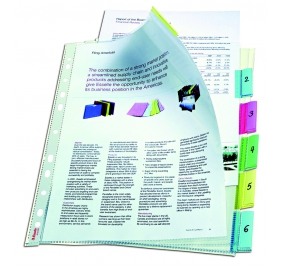 BUSTA FORATURA UNIVERSALE 22X30 SET 6 TASCHE CON SEGNAPOSTO