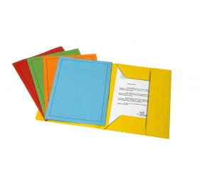 CARTELLA BRISTOL 3 LEMBI CON STAMPA FRASCHINI 25X33 CF.25 GIALLO Colore Giallo