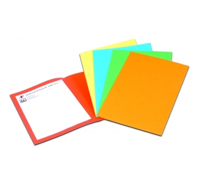 CARTELLA BRISTOL SEMPLICE 25X34 SENZA STAMPA GR270 ARANCIO Colore Arancio
