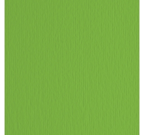 CARTONCINO ELLE ERRE Colore Verde 11 Formato cm 50x70