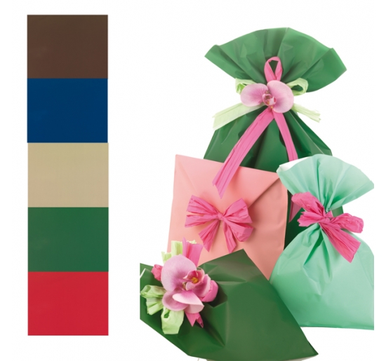 BUSTE REGALO IN PPL MAT A EVERYDAY CLASSIC 16X25CM 5 COLORI ASSORTITI CF.100