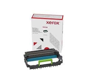 Xerox Fotoconduttore 013R00691